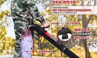  北京奧林匹克森林公園楊柳飛絮防治現場會